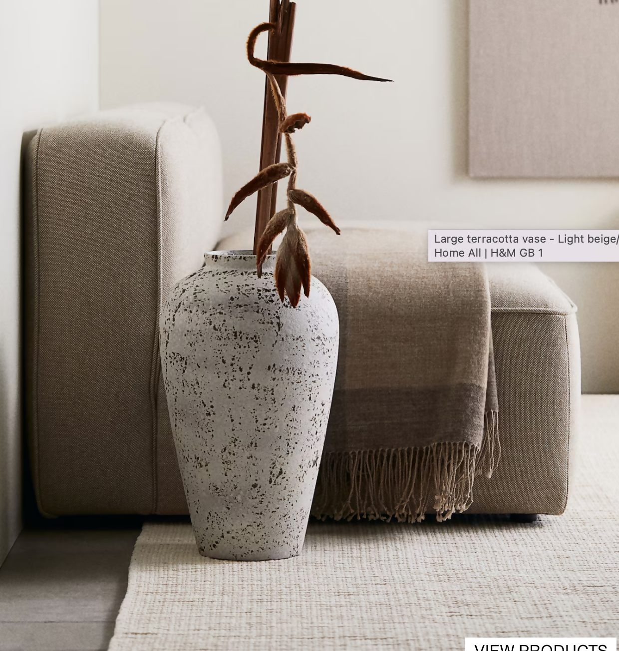 Screenshot 2025-06-09 at 10.00.59