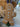 PXL_20250409_145653950