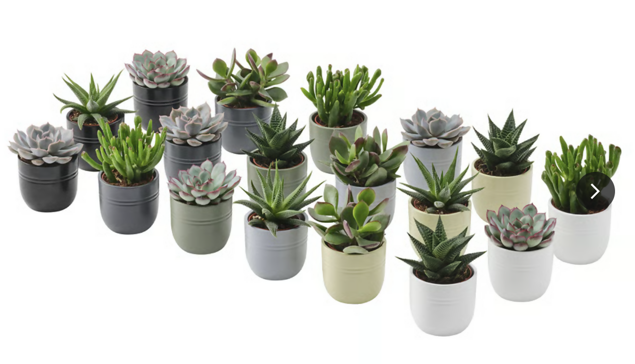 Screenshot 2025-06-09 at 09.38.42