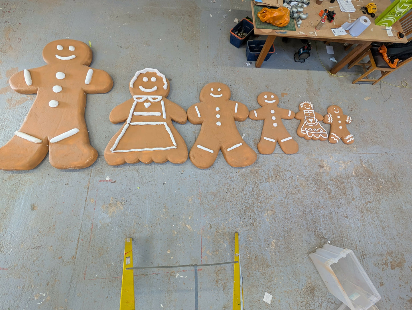 ginger family